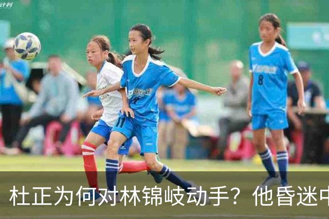 杜正为何对林锦岐动手？他昏迷中的话揭示了什么